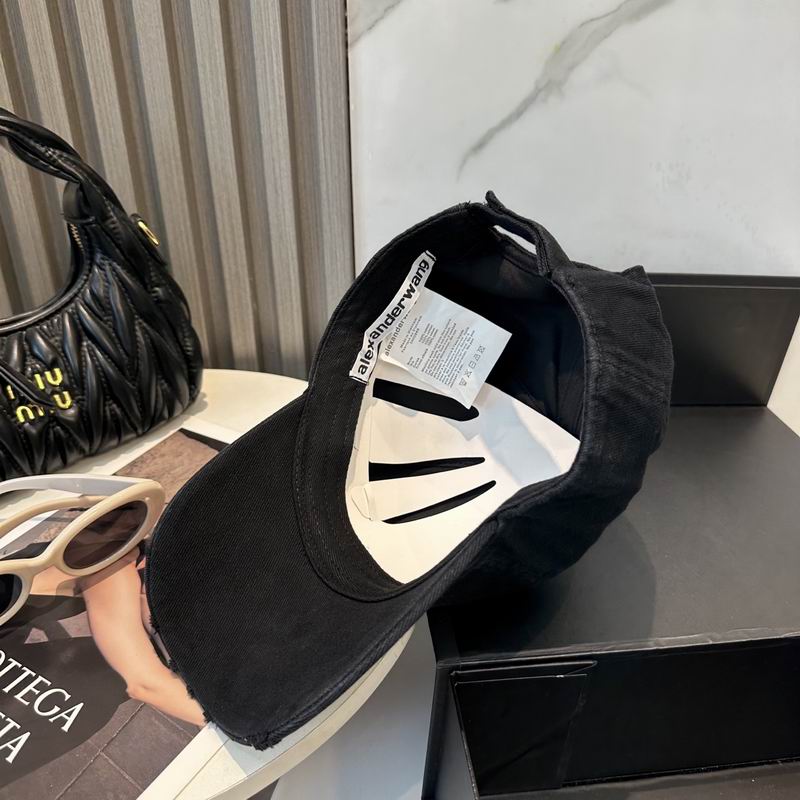 Alexander Wang cap dx (35)