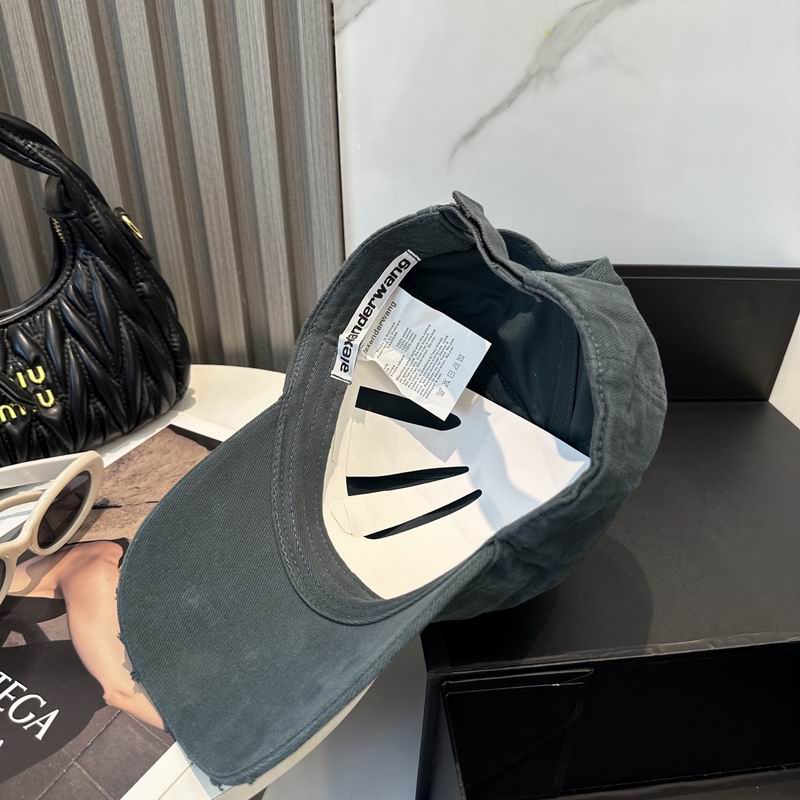 Alexander Wang cap dx (35)